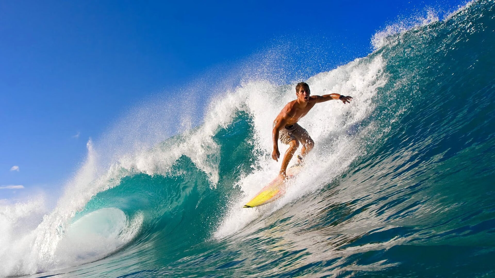 世界职业拳王统一战在澳门打响 四条金腰带归属敲定